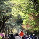 가족나들이 이미지