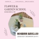 정원테라피 | 에어플랜트 틸란드시아 공중정원 만들기 | 병원 원예테라피 강의 후기