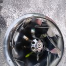 가까운대학 약국 이미지