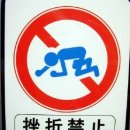 2011.9.25. 다시 시작할 수 있습니다. 이미지