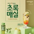 초록식품
