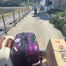 온정민박 이미지