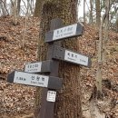 부용산 이미지