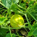 일수농약사 이미지