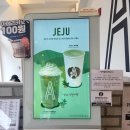 카페ㅣ전주 하가지구 공부하기 좋은 카공 에이바우트 카페