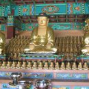 칠곡 송림사 석조아미타여래삼존좌상 이미지