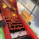 상포농장 | 다둥이네 행복농장(익산시 상포 마을)