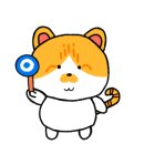 고양이무마취미용 냥지곤지 이미지