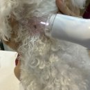 이을동물병원 이미지