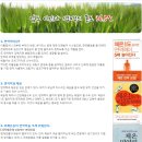 라파엘힐링쎈타