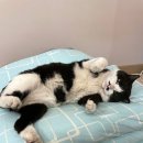 만인의집 이미지