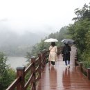 남도버스 이미지