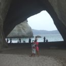 여행기 - cathedral cove 이미지