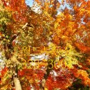 부동산월드 이미지