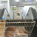 수달 화장실 이미지