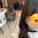 나비드헤어# 이미지