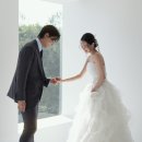 고야디자인