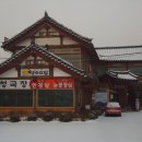 황소고집 이미지