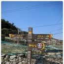 형제사슴목장 이미지