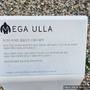올원투어