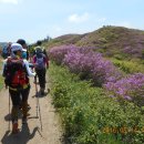 산덕마을 이미지