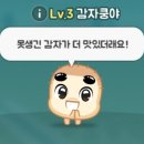 감자펜션 이미지