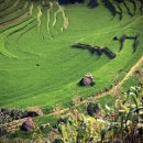 대왕떡집 이미지