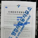 국제 행정사 합동사무소 이미지