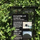 생림 나룻터 공중화장실 | 가을추천여행지 : 강바람, 산바람 상큼발랄뽀숑 김해 생림여행
