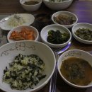 영월손칼국수