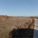 오가면010 이미지