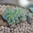 민경슈퍼