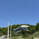 세종 대형카페 이도커피 호탄점 내돈내산 솔직후기 비어커피 청귤에이드