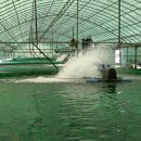 수경수산 이미지