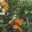 하나로코사마트 이미지