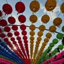 7182 | [양산] 통도사 자장매(홍매화) 개화 현황 &amp; 신비로운 우담바라 주말 직관 후기