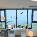 대형견도 푹 잠드는 애착 방석 찾았다! 펫브랜디 쿠션 면베이지 L 사이즈 리얼 후기