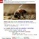 #CNN #KhansReading 2017-03-19-2 Cheerios pulls Buzz the Bee off Honey Nut Cheerios boxes 이미지