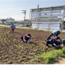 이호동 주민센터 이미지