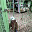 규선농장 이미지