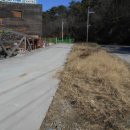 95번청과 이미지