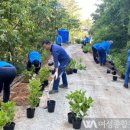 850 전망대 이미지