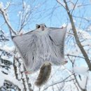 카페폴리 - 통영시 | 카페폴리