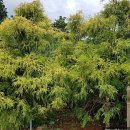 도흥농장 이미지