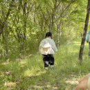 새아침공원 생태교육관 네이버블로그