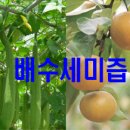 현대물산 이미지
