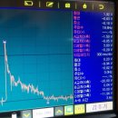 이포카센타 이미지