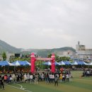 옥계동부초등학교 병설유치원 이미지