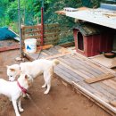 축령산 농장 이미지