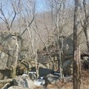 병암농장 Daum카페